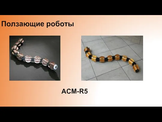 Ползающие роботы ACM-R5