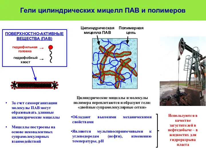 Цилиндрические мицеллы и молекулы полимера переплетаются и образуют гели: «двойные супрамолекулярные