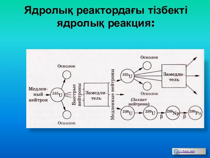 Ядролық реактордағы тізбекті ядролық реакция: