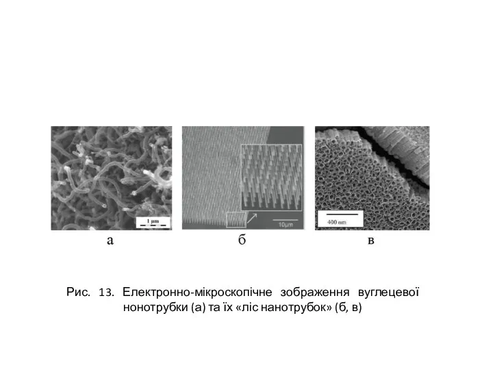 Рис. 13. Електронно-мікроскопічне зображення вуглецевої нонотрубки (а) та їх «ліс нанотрубок» (б, в)