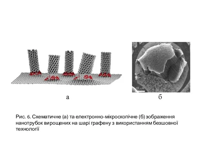 Рис. 6. Схематичне (а) та електронно-мікроскопічне (б) зображення нанотрубок вирощених на