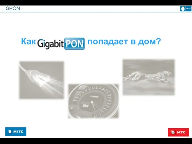 GPON Как попадает в дом?