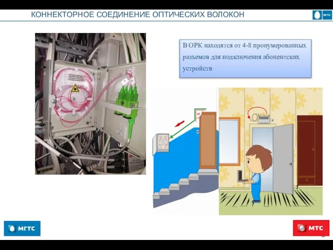 КОННЕКТОРНОЕ СОЕДИНЕНИЕ ОПТИЧЕСКИХ ВОЛОКОН В ОРК находятся от 4-8 пронумерованных разъемов для подключения абонентских устройств