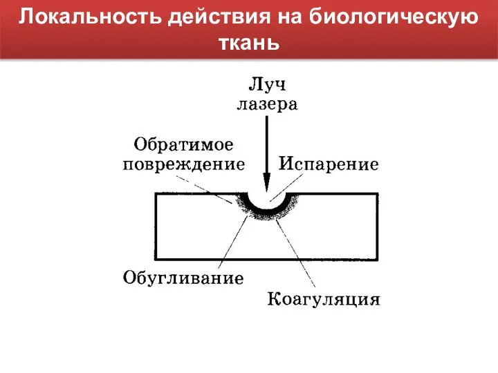 Локальность действия на биологическую ткань