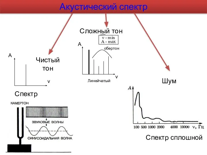 Акустический спектр Чистый тон Сложный тон А ν Шум Спектр сплошной