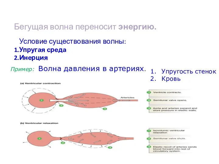 Бегущая волна переносит энергию. Условие существования волны: Упругая среда Инерция Пример: