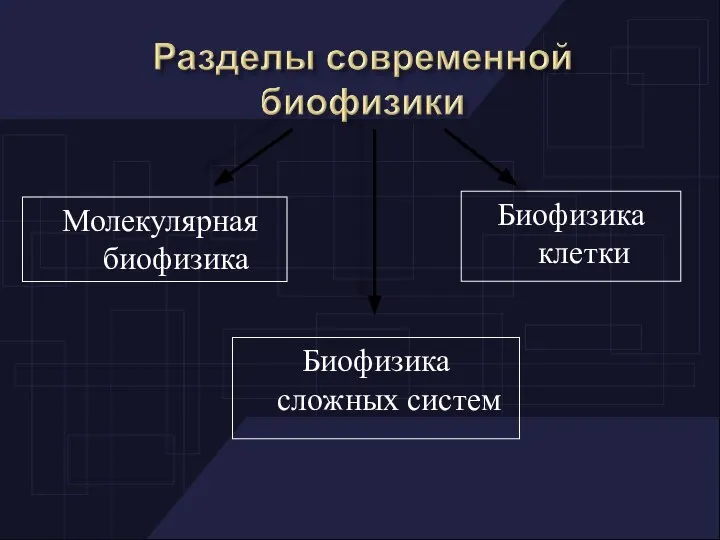 Молекулярная биофизика Биофизика сложных систем Биофизика клетки