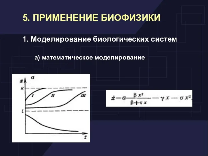 5. ПРИМЕНЕНИЕ БИОФИЗИКИ 1. Моделирование биологических систем а) математическое моделирование