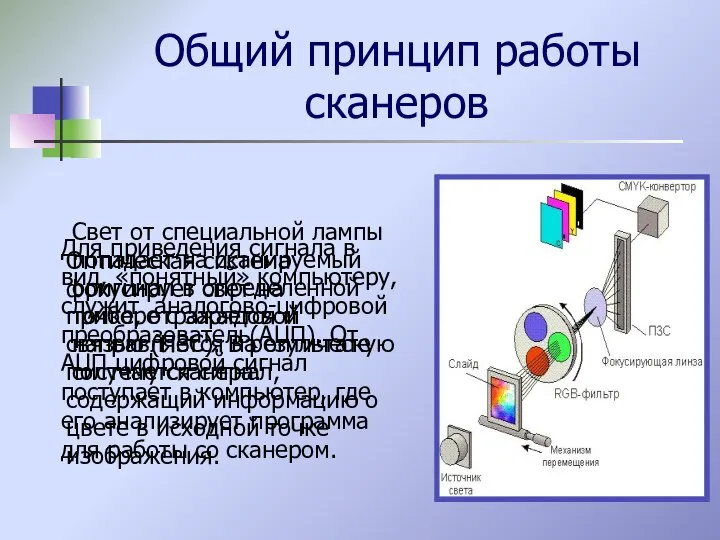 Общий принцип работы сканеров Свет от специальной лампы попадает на сканируемый