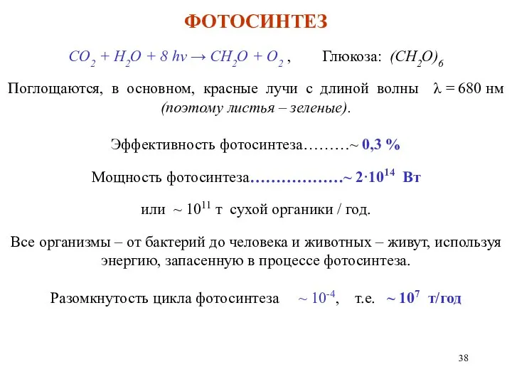 ФОТОСИНТЕЗ CO2 + H2O + 8 hν → CH2O + O2