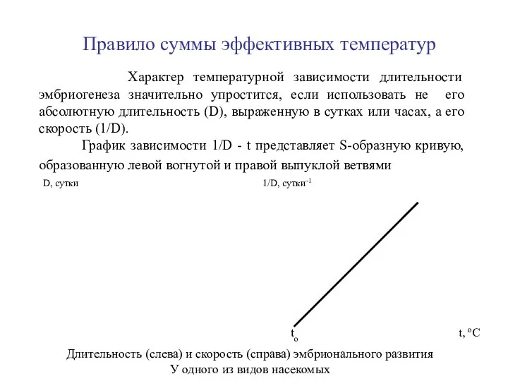 Правило суммы эффективных температур Характер температурной зависимости длительности эмбриогенеза значительно упростится,