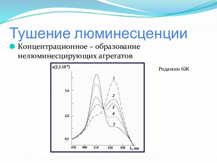 Тушение люминесценции Концентрационное – образование нелюминесцирующих агрегатов Родамин 6Ж