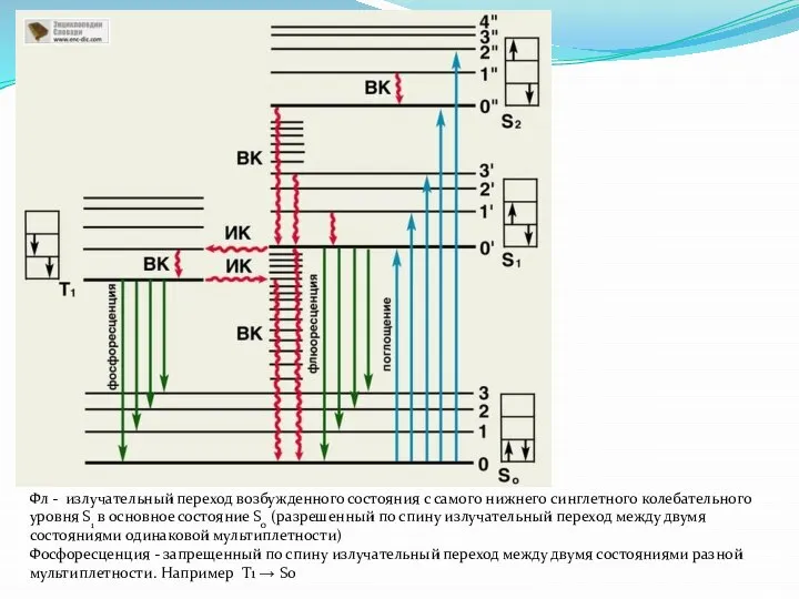 Фл - излучательный переход возбужденного состояния с самого нижнего синглетного колебательного