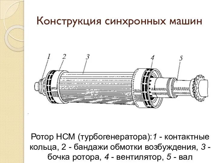 Конструкция синхронных машин Ротор НСМ (турбогенератора):1 - контактные кольца, 2 -