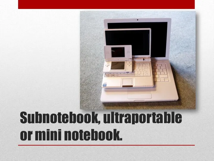 Subnotebook, ultraportable or mini notebook.
