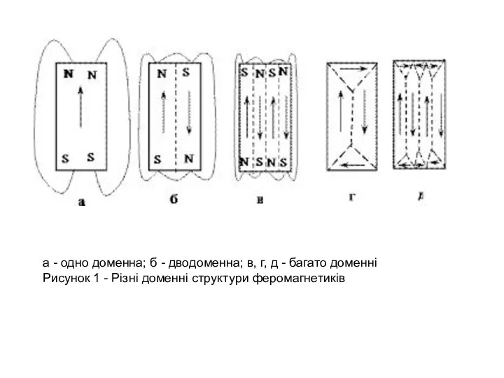 а - одно доменна; б - дводоменна; в, г, д -