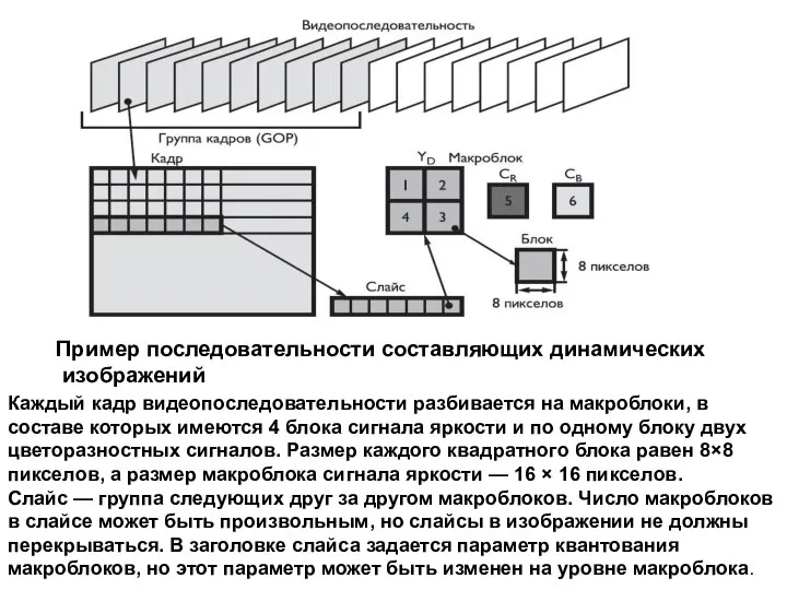 Пример последовательности составляющих динамических изображений Каждый кадр видеопоследовательности разбивается на макроблоки,