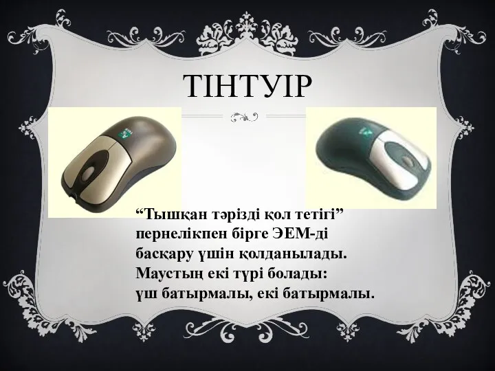 ТІНТУІР “Тышқан тәрізді қол тетігі” пернелікпен бірге ЭЕМ-ді басқару үшін қолданылады.