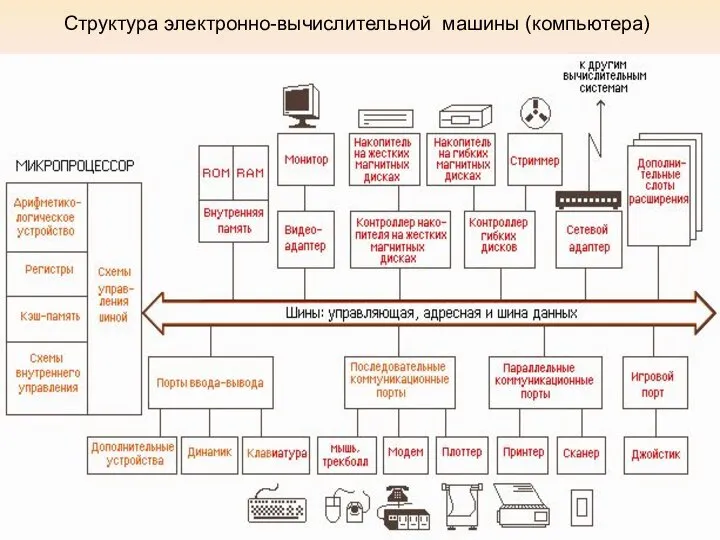 Структура электронно-вычислительной машины (компьютера)