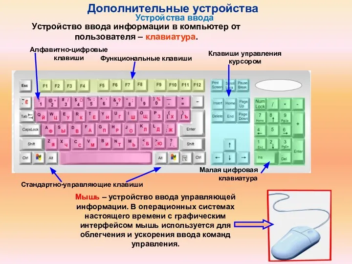 Устройство ввода информации в компьютер от пользователя – клавиатура. Функциональные клавиши