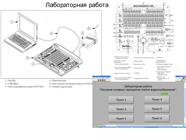 Лабораторная работа