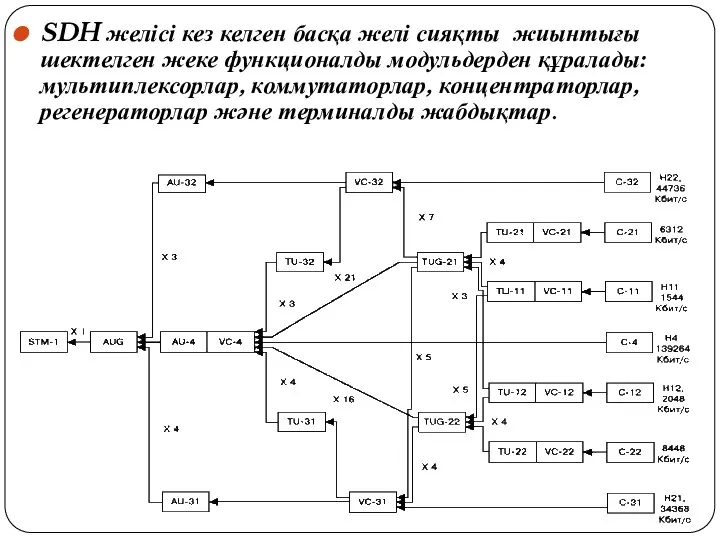 SDH желісі кез келген басқа желі сияқты жиынтығы шектелген жеке функционалды