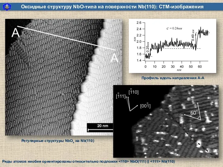 Оксидные структуру NbO-типа на поверхности Nb(110): СТМ-изображения Регулярные структуры NbOx на