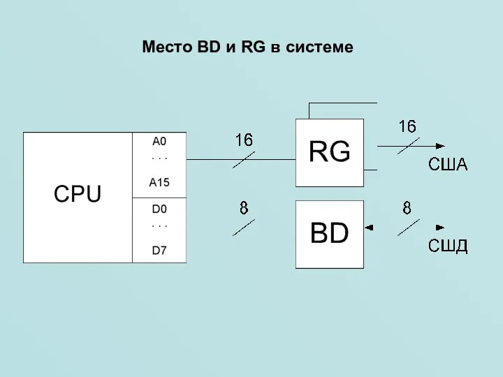 Место BD и RG в системе