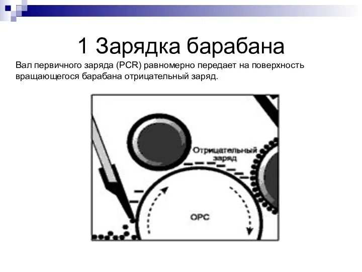 1 Зарядка барабана Вал первичного заряда (PCR) равномерно передает на поверхность вращающегося барабана отрицательный заряд.