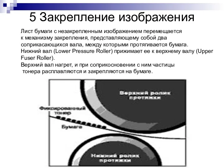 5 Закрепление изображения Лист бумаги с незакрепленным изображением перемещается к механизму