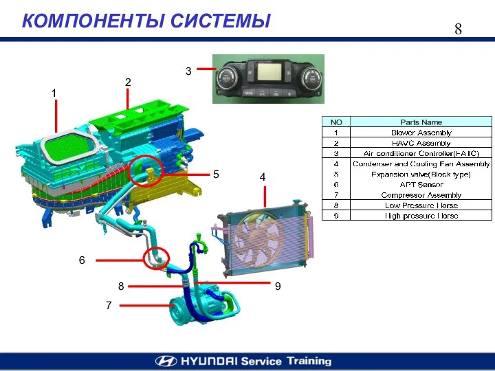 КОМПОНЕНТЫ СИСТЕМЫ