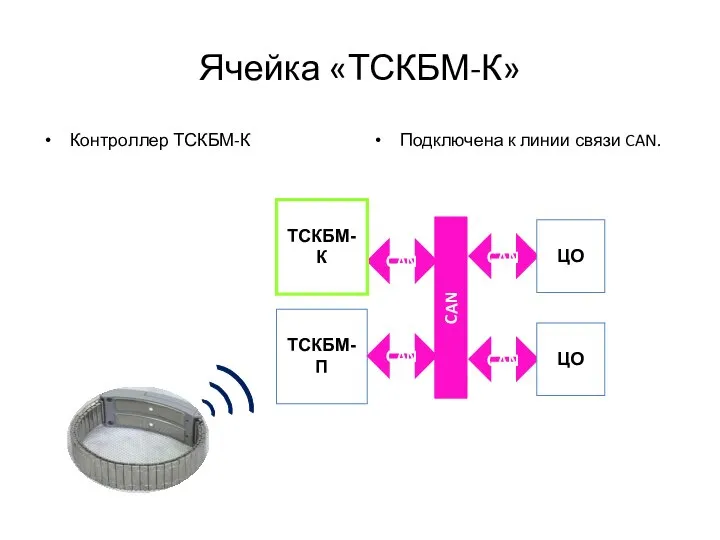Ячейка «ТСКБМ-К» Контроллер ТСКБМ-К Подключена к линии связи CAN. CAN CAN
