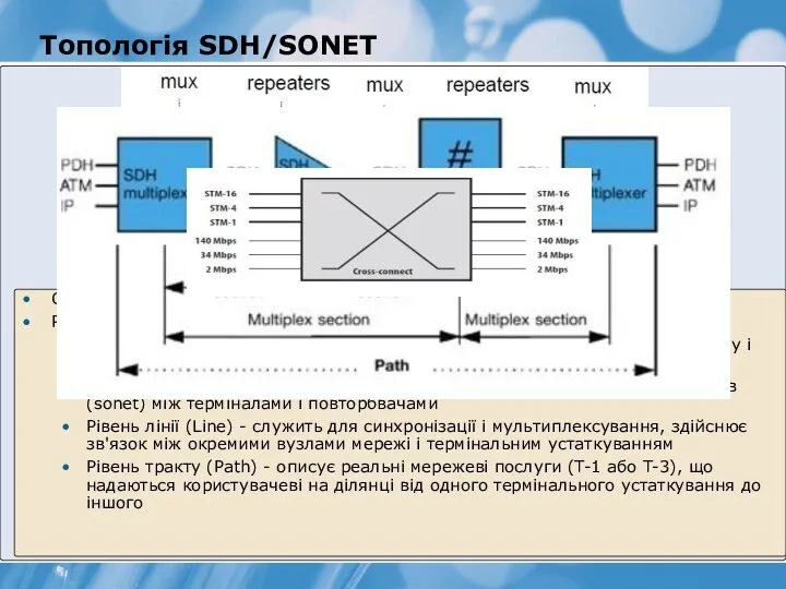 Топологія SDH/SONET Складається з мультиплексорів (mux) та повторювачів (repeaters) Рівні архітектури