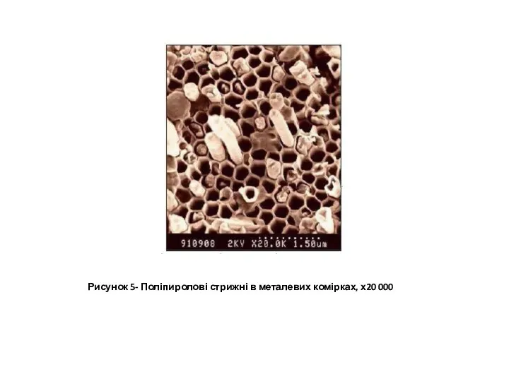 Рисунок 5- Поліпиролові стрижні в металевих комірках, х20 000