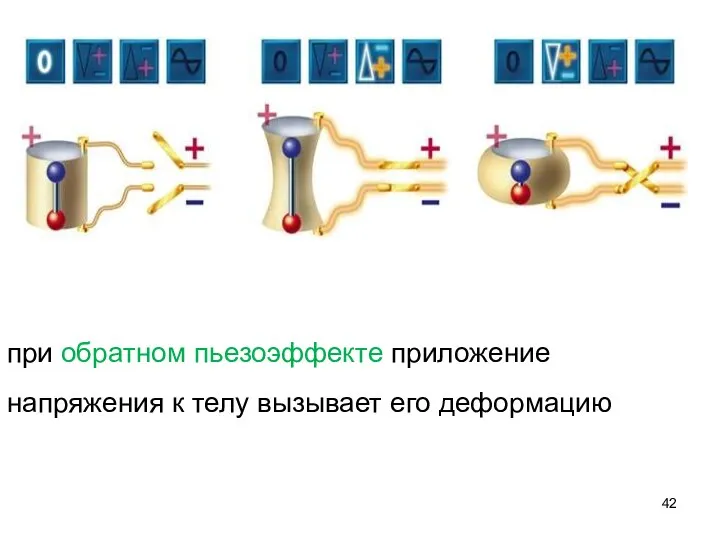 при обратном пьезоэффекте приложение напряжения к телу вызывает его деформацию