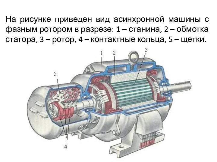 На рисунке приведен вид асинхронной машины с фазным ротором в разрезе:
