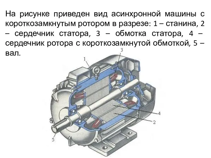 На рисунке приведен вид асинхронной машины с короткозамкнутым ротором в разрезе: