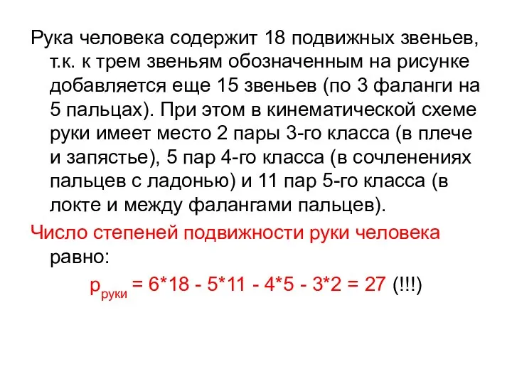 Рука человека содержит 18 подвижных звеньев, т.к. к трем звеньям обозначенным