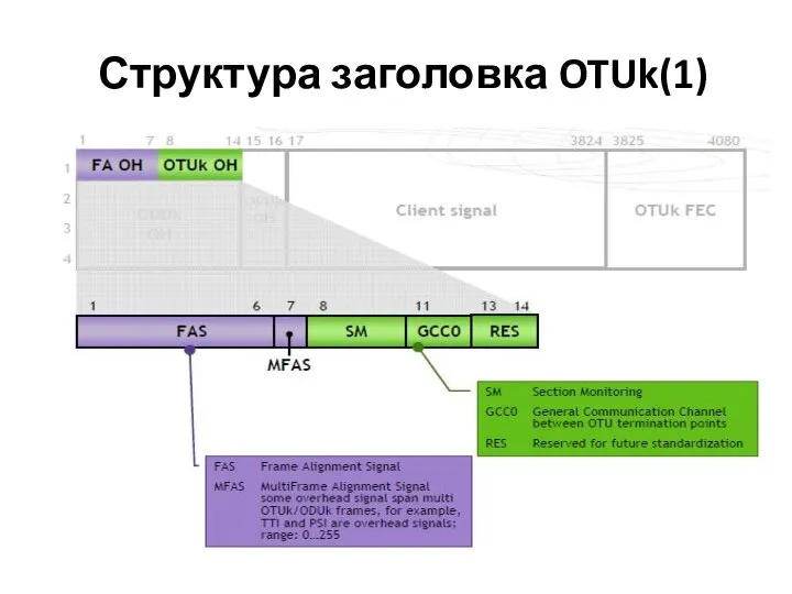 Структура заголовка OTUk(1)