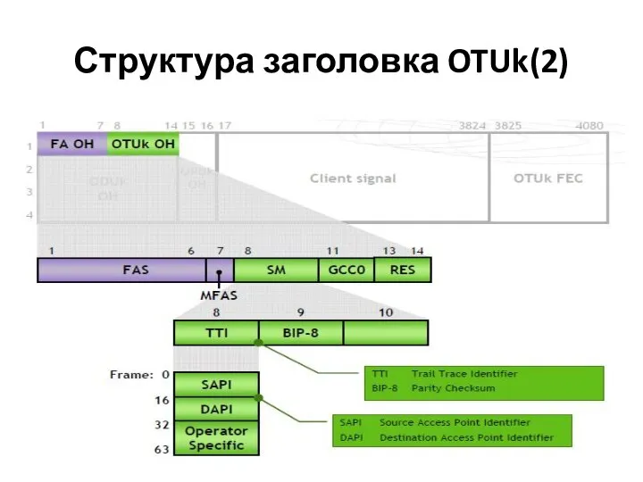 Структура заголовка OTUk(2)