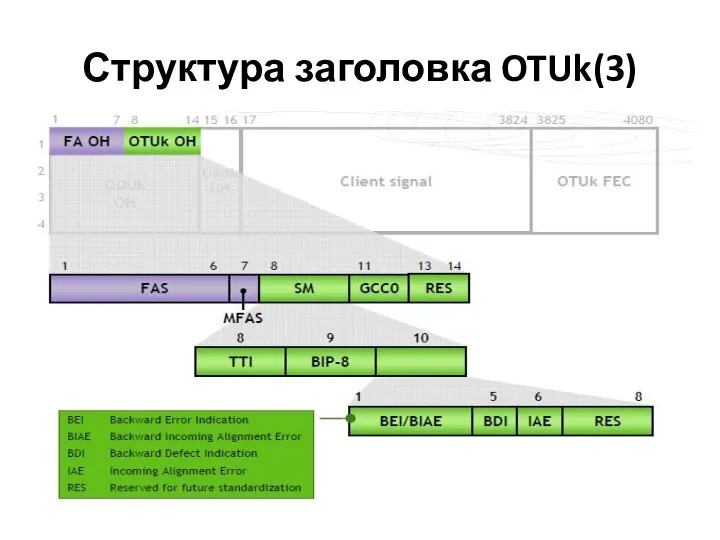 Структура заголовка OTUk(3)