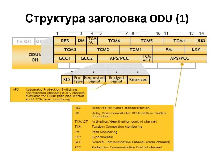 Структура заголовка ODU (1)