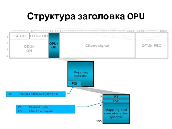 Структура заголовка OPU