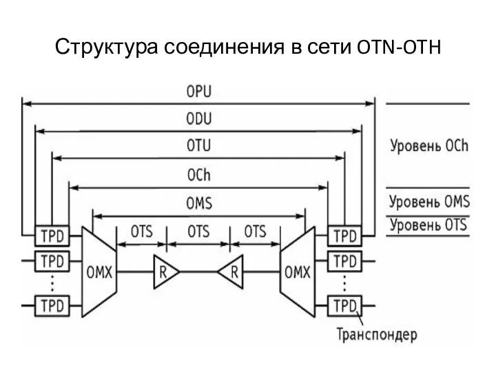 Структура соединения в сети OTN-OTH