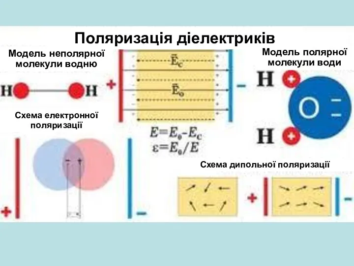 Поляризація діелектриків Модель неполярної молекули водню Модель полярної молекули води Схема електронної поляризації Схема дипольної поляризації