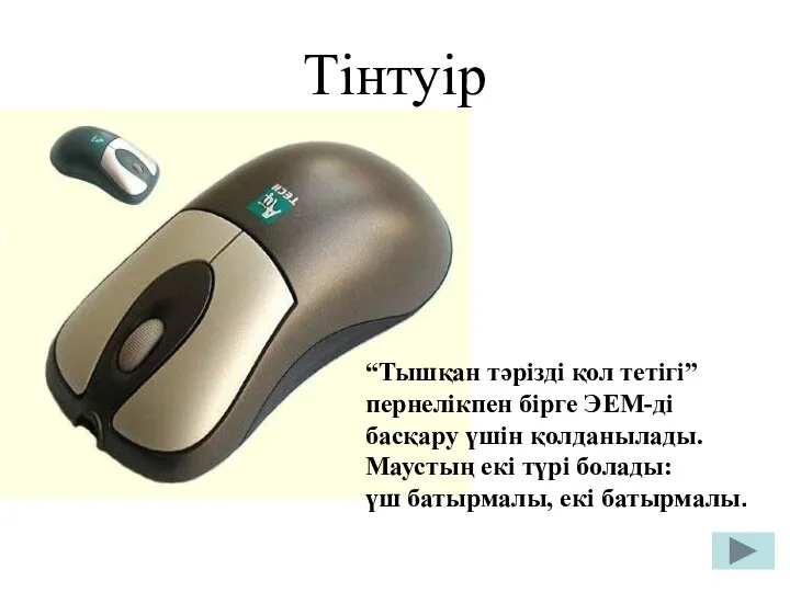 Тінтуір “Тышқан тәрізді қол тетігі” пернелікпен бірге ЭЕМ-ді басқару үшін қолданылады.