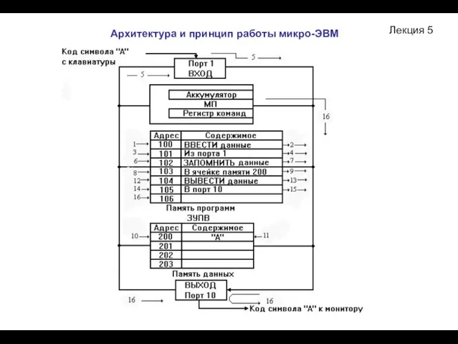 Лекция 5 Архитектура и принцип работы микро-ЭВМ