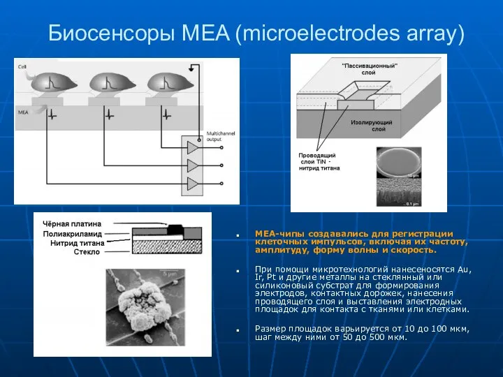 Биосенсоры MEA (microelectrodes array) MEA-чипы создавались для регистрации клеточных импульсов, включая