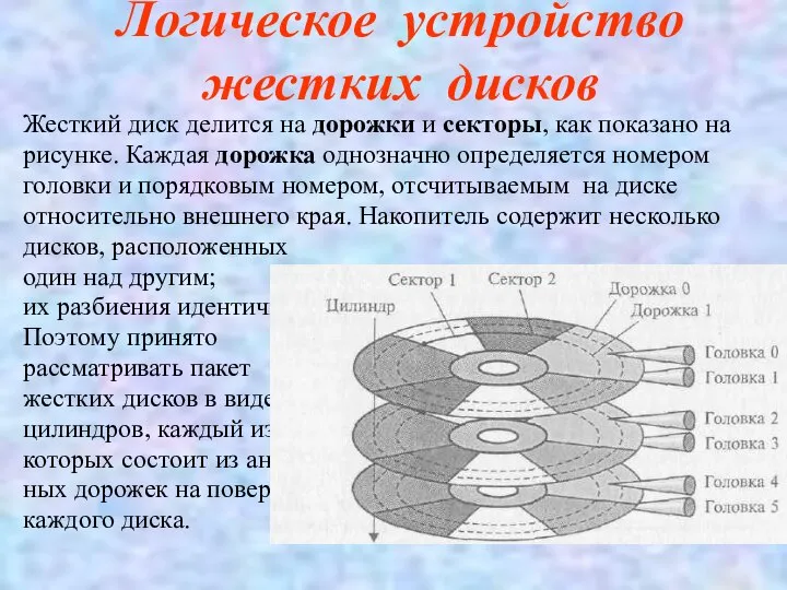 Логическое устройство жестких дисков Жесткий диск делится на дорожки и секторы,