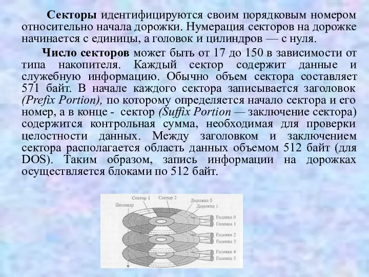 Секторы идентифицируются своим порядковым номером относительно начала дорожки. Нумерация секторов на